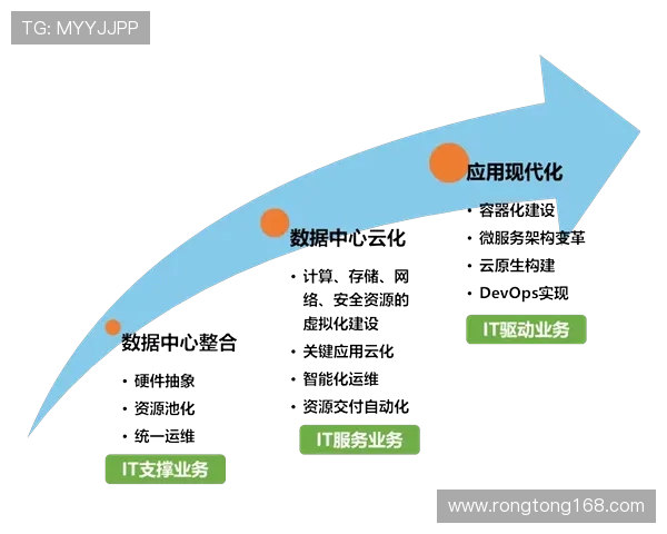 武汉排球队的转型之路：从传统强队到现代化竞技新标杆